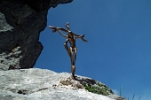 In GRIGNONE, versante nord, da Cainallo sui sentieri estivi 24 Rif. Bietti e 25 Rif. Bogani dom. 29 maggio 2011 - FOTOGALLERY